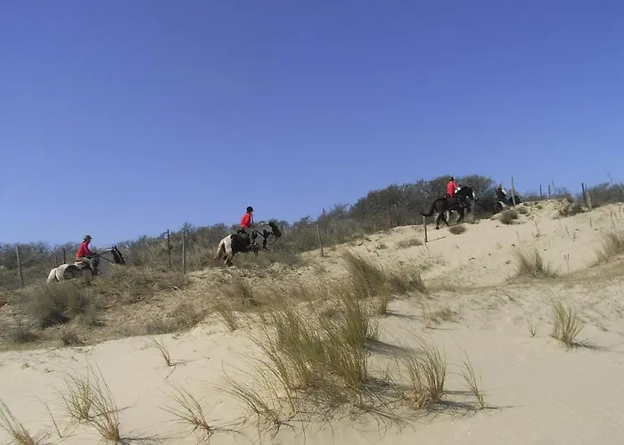 't Lange Lis Daire De Panne